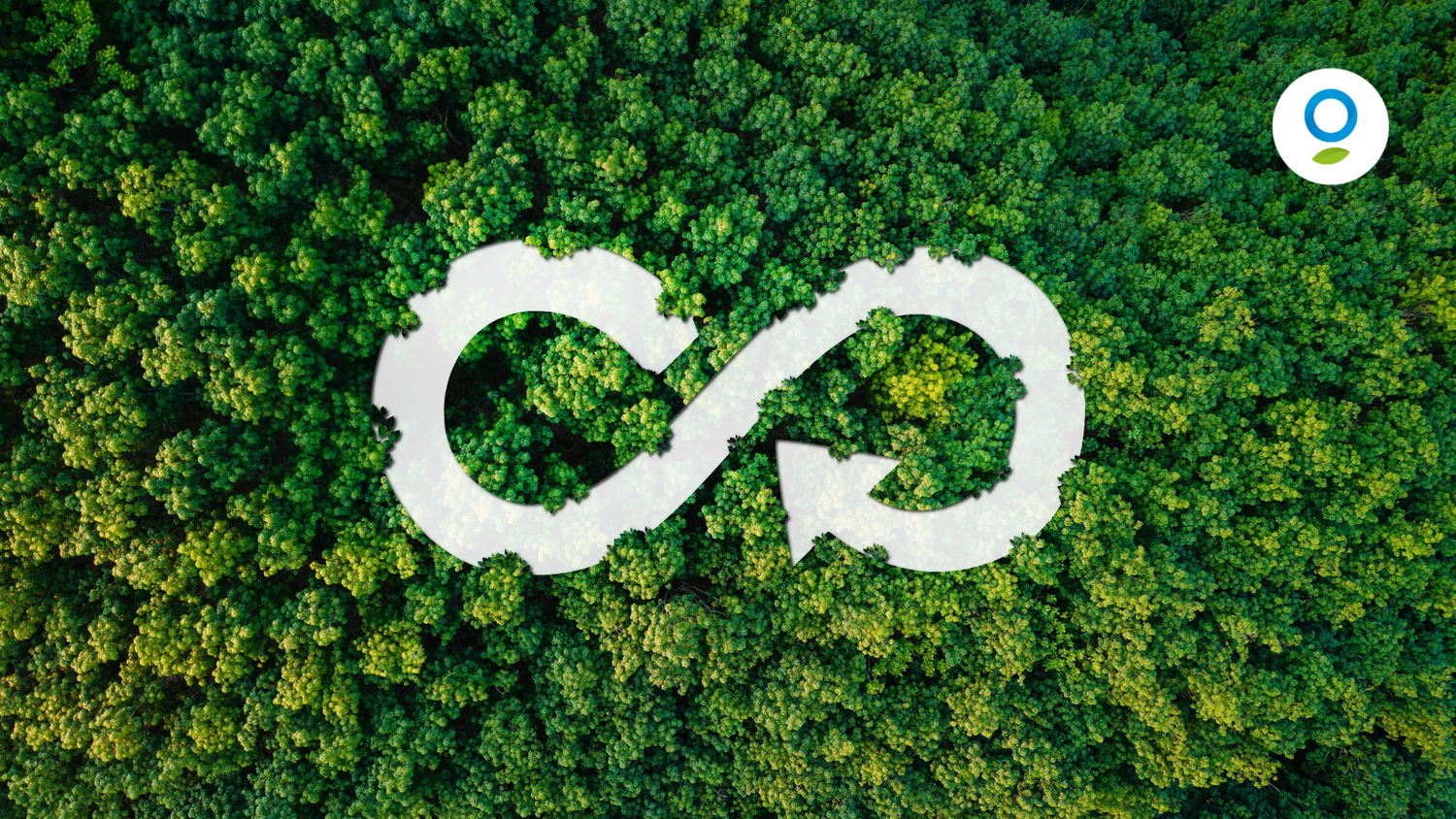 simbolo economia circolare, sullo sfondo un bosco