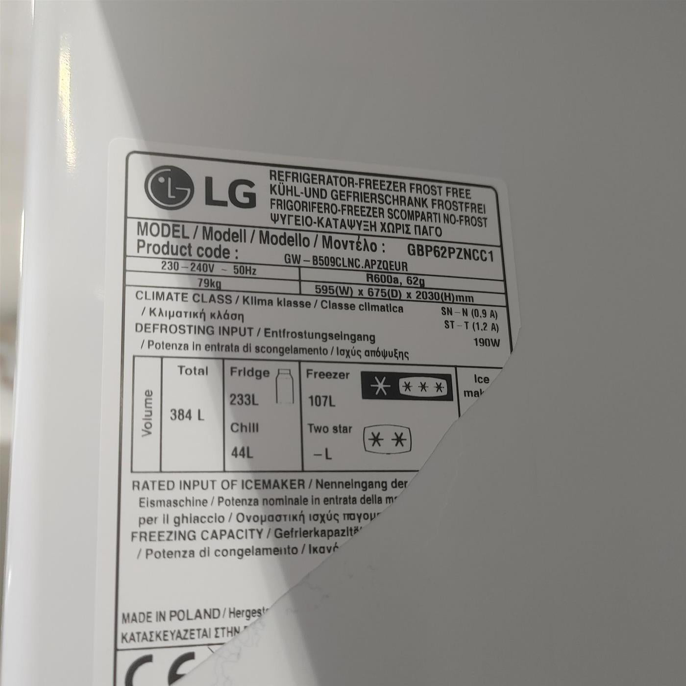 Frigorifero LG GBP62PZNCC1 384 L
