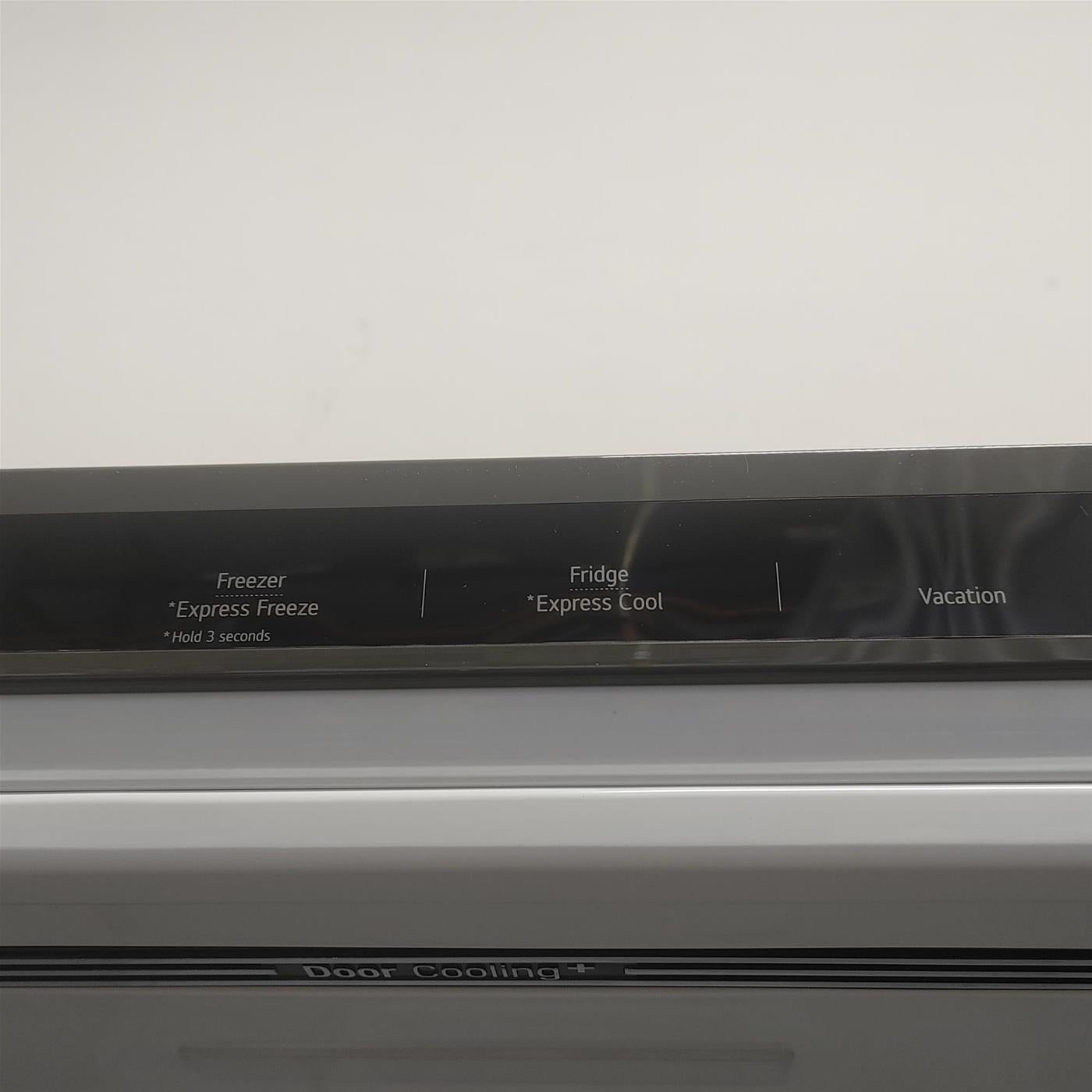 Frigorifero LG GBP62PZNBC 384 L