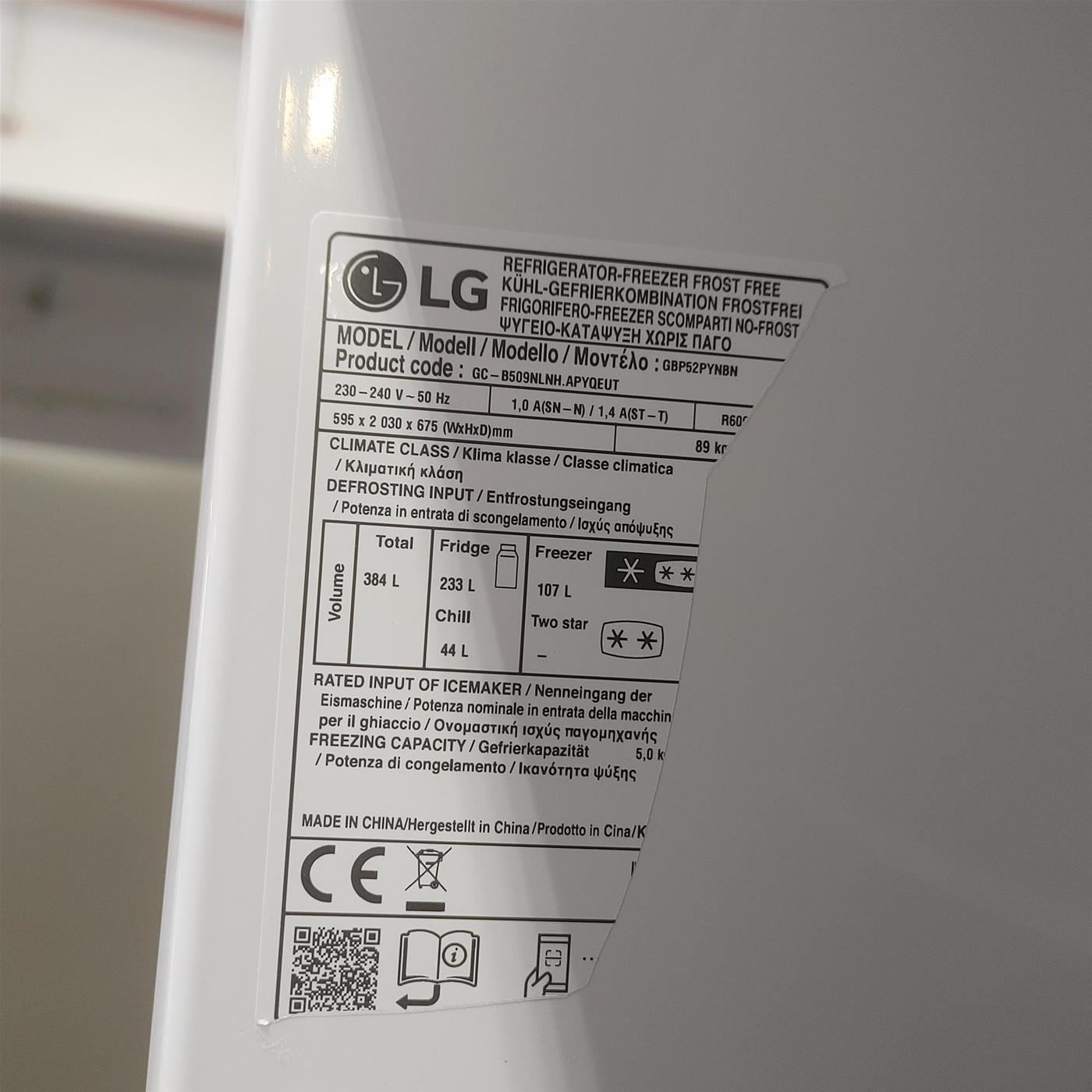 LG GBP52PYNBN Frigorifero combinato, Classe B, 384L, Fresh Converter, No frost, Argento