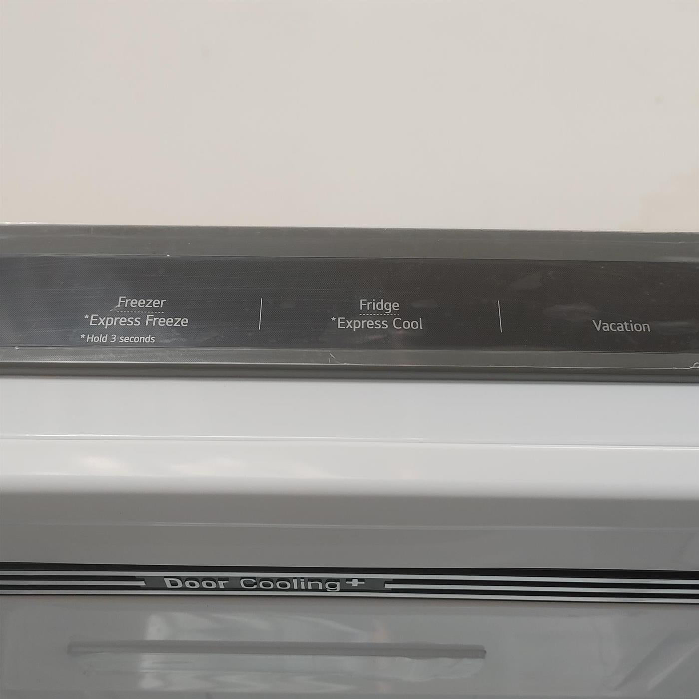 Frigorifero LG GBP62PZNAC 384 L