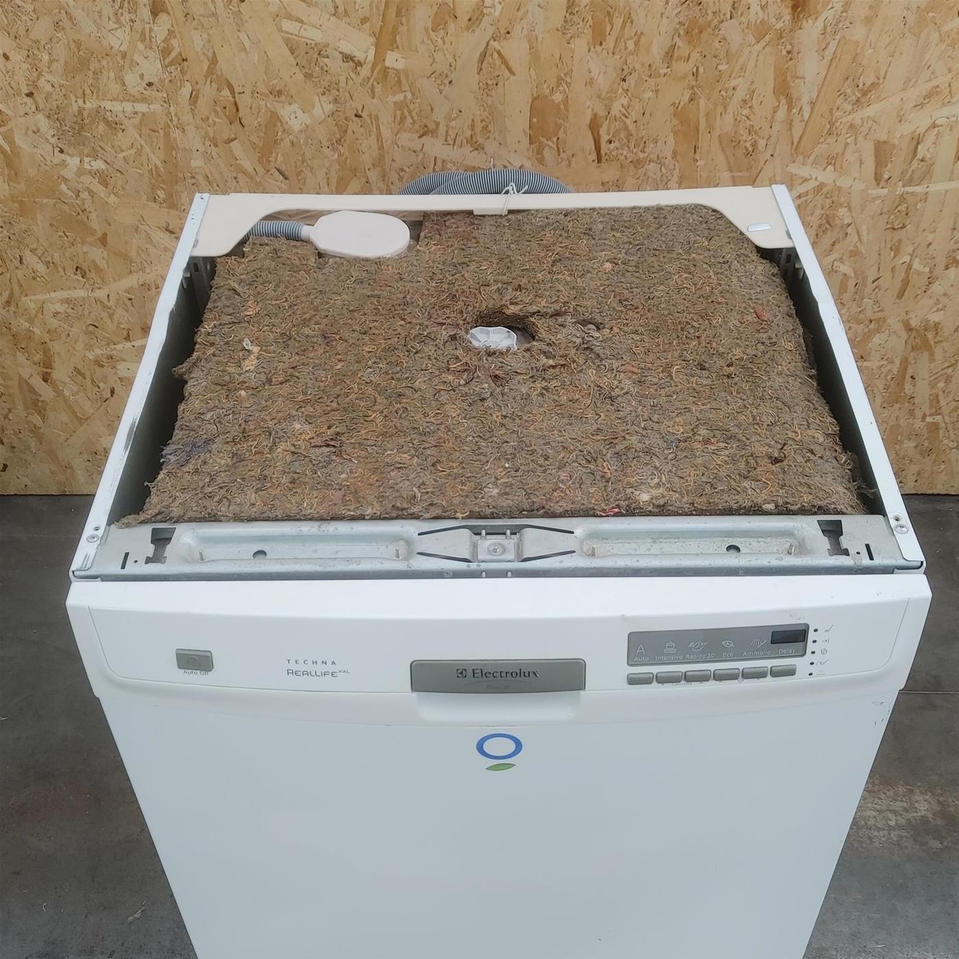 Lavastoviglie Electrolux RSF66080WR 13 coperti