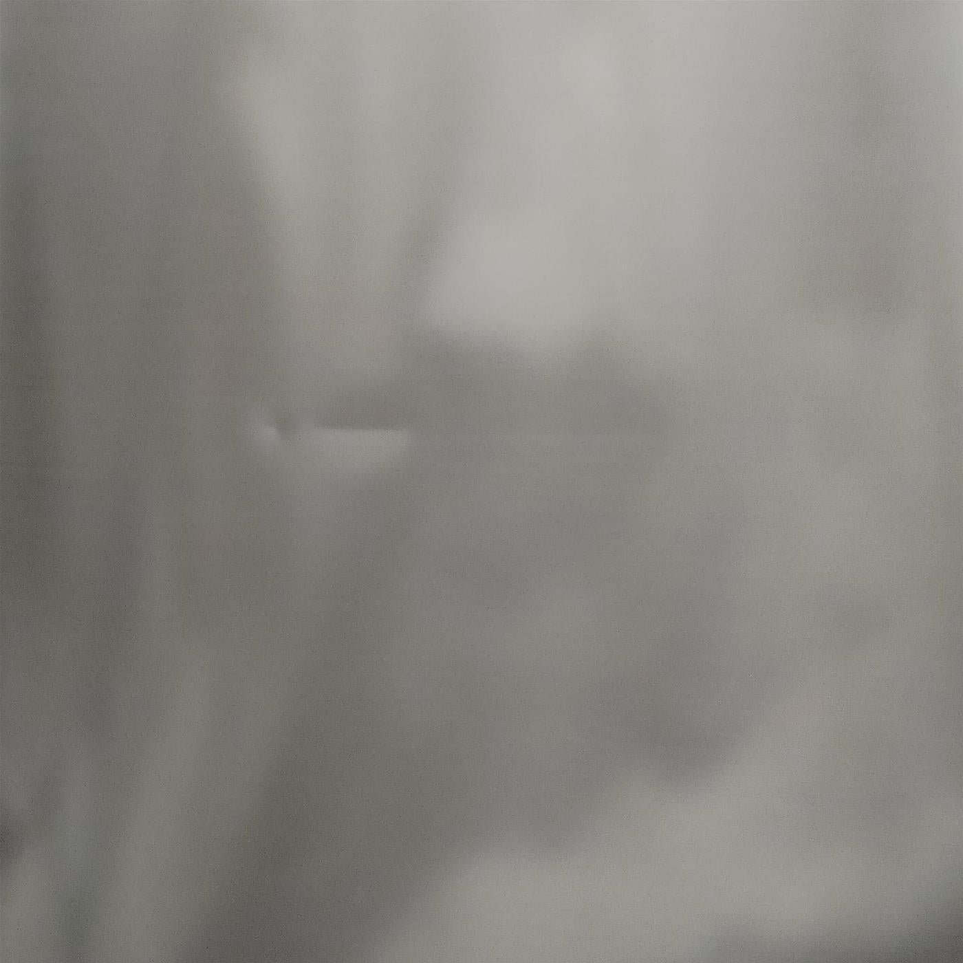 Frigorifero combinato LG GBP62PZNBC Libera installazione 384 L